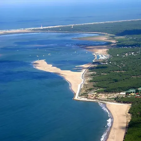 Mobile Vue Baie Dans Foret De Pins - مكان تخييم